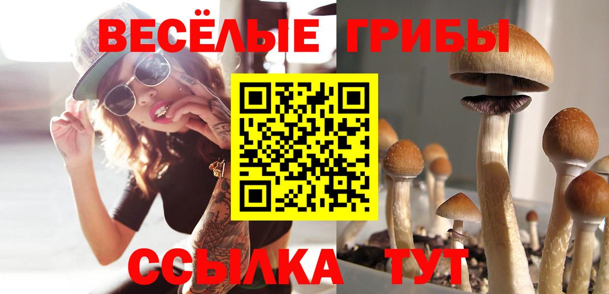 Галлюциногенные грибы GOLDEN TEACHER  купить   Галлюциногенные грибы MAGIC MUSHROOMS  Брянск  Вход с VPN 