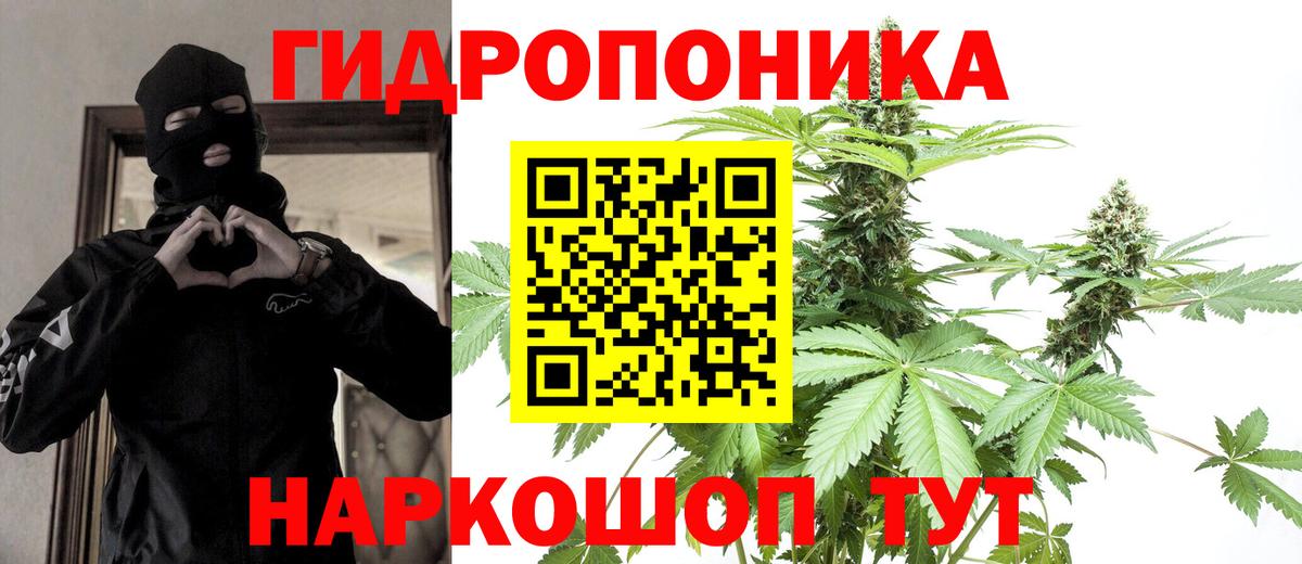 Канабис Ganja  Бошки Шишки семена  Брянск  Вход с VPN 