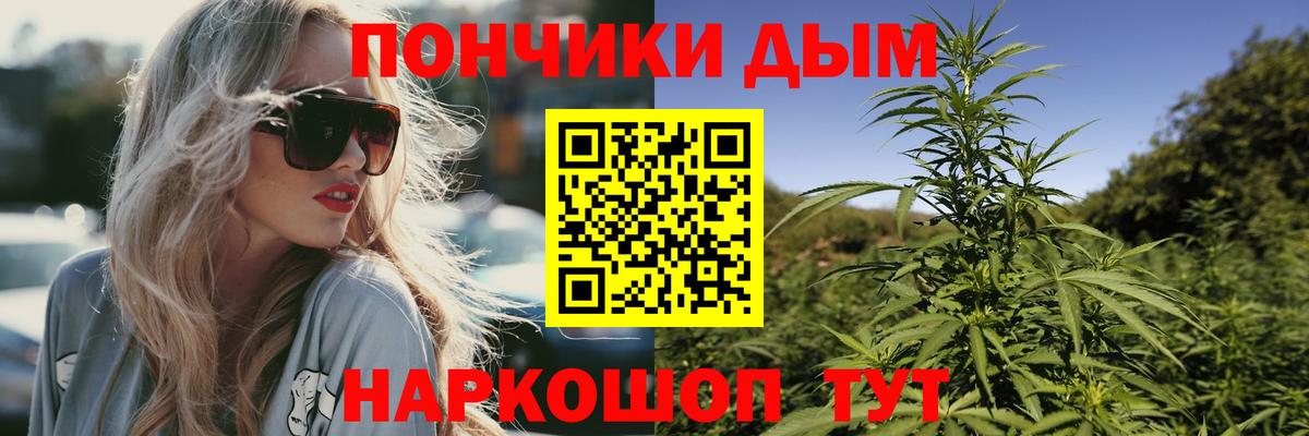 Бошки Шишки планчик Брянск
